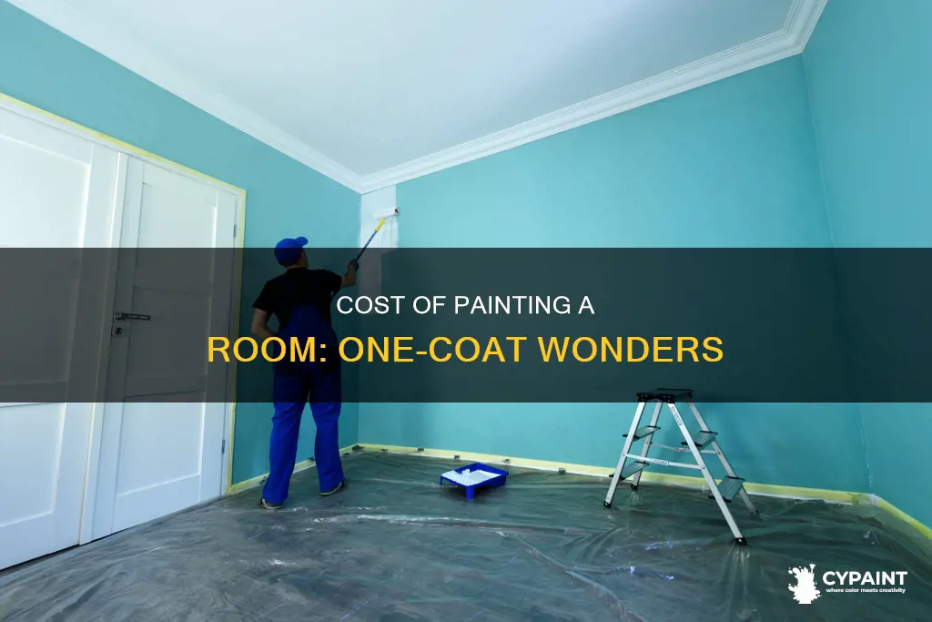 what does a can of one shoy paint cost