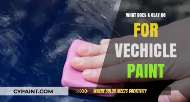 How Clay Bar Treatment Enhances Vehicle Paint Finish and Protection