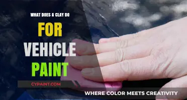 Clay Bar Treatment: Enhancing Vehicle Paint Finish and Protection