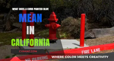Curb Color Codes: Blue Curbs in California Explained