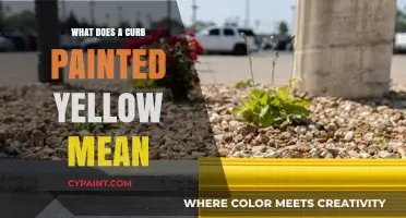 Yellow Curb Meaning: Understanding Parking Rules and Restrictions Explained
