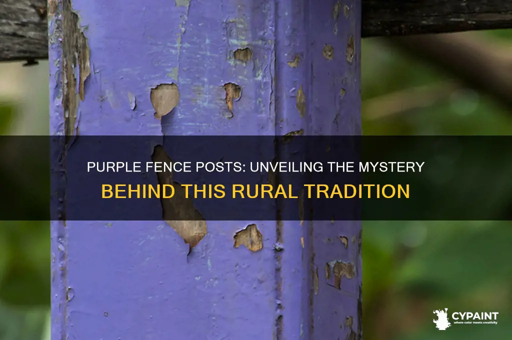 what does a fence post painted purple mean