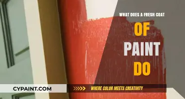 Transform Your Space: The Power of a Fresh Coat of Paint