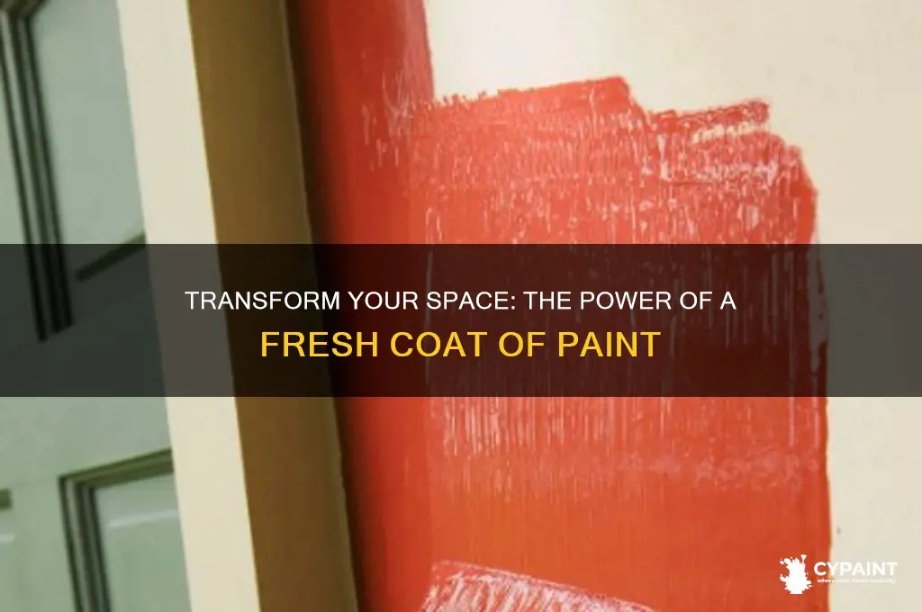 what does a fresh coat of paint do