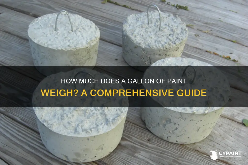 what does a gallon can of paint weigh
