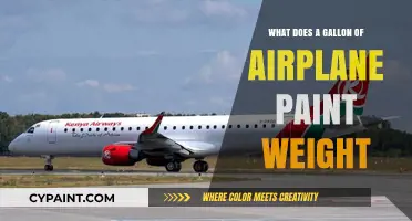 How Much Does a Gallon of Airplane Paint Weigh?
