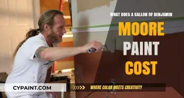 Benjamin Moore Paint: Gallon Cost and Benefits