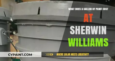 Exploring Paint Prices: A Gallon at Sherwin-Williams