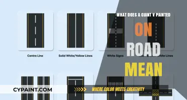 Road V Markings: What Do They Mean?
