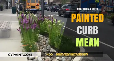 Understanding Green Painted Curbs: Parking Rules and Regulations Explained