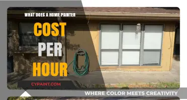 How Much Does Hiring a Home Painter Cost Per Hour?