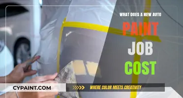 How Much Does a New Auto Paint Job Cost?