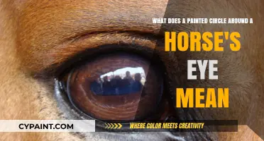 Unveiling the Mystery: The Significance of Painted Circles Around Horses' Eyes