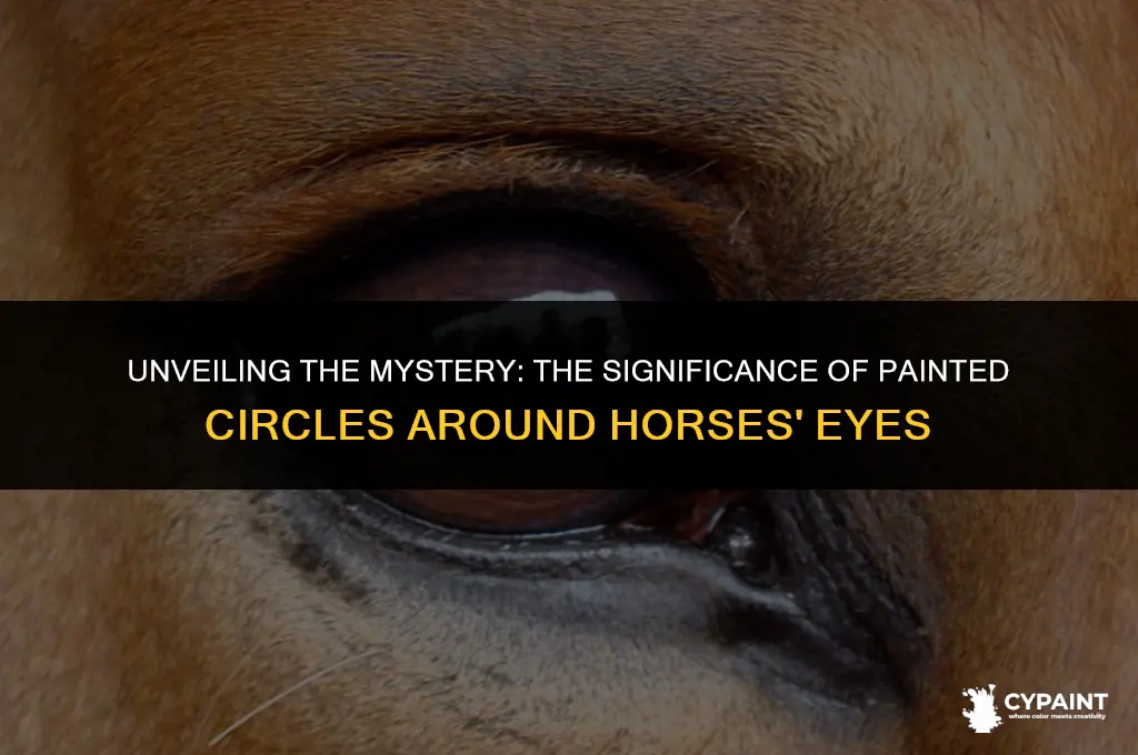 what does a painted circle around a horse