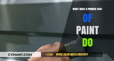 Why Primer Coats Are Essential for Perfect Paint Finishes