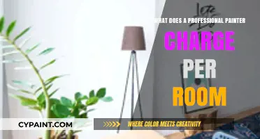 How Much Do Professional Painters Charge Per Room?