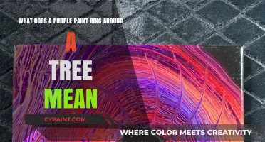 Decoding the Mystery: Purple Paint Rings on Trees Explained