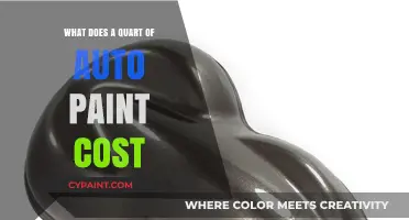 How Much Does a Quart of Auto Paint Cost?