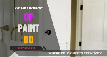 Enhancing Durability and Finish: The Benefits of a Second Paint Coat