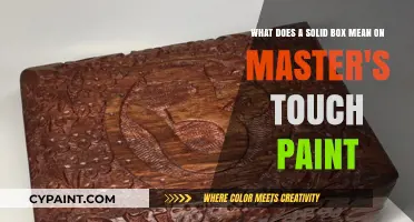 Decoding the Symbolism: What Does a Solid Box Mean on Master's Touch Paint?