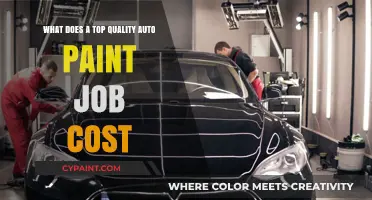 How Much Does a Premium Auto Paint Job Cost?