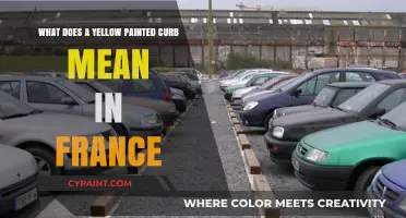 Yellow Curbs in France: What Do They Mean?