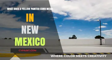 Decoding the Meaning of Yellow Painted Curbs in New Mexico