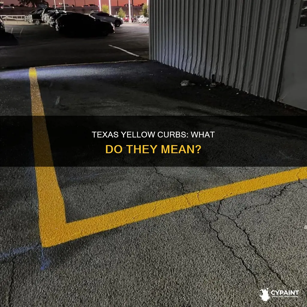 what does a yellow painted curb mean in texas