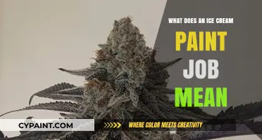 Unveiling the Meaning Behind an Ice Cream Paint Job