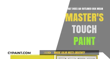 Decoding the Master's Touch: The Significance of Outlined Boxes in Paint