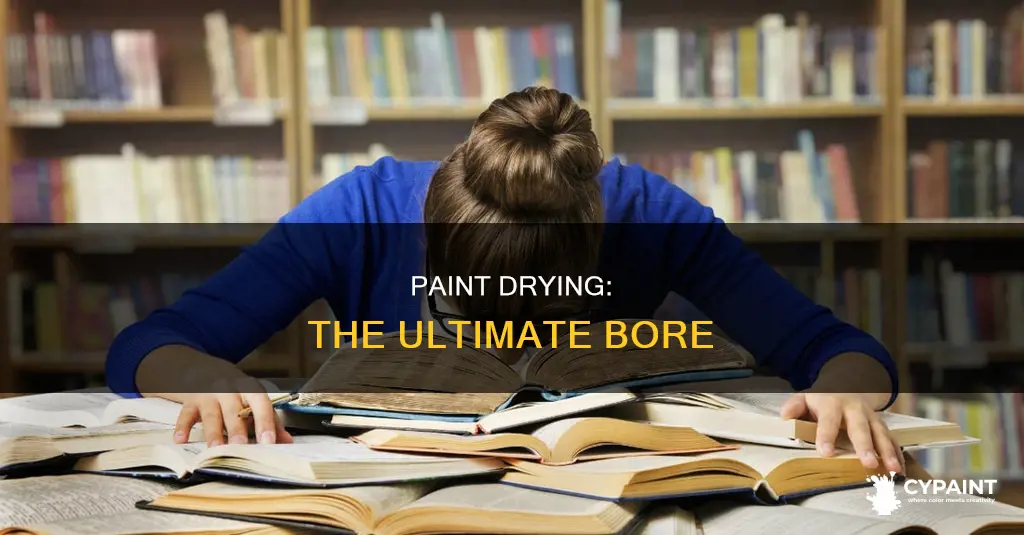 what does as boring as watching paint dry mean