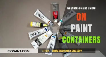 Decoding Paint Labels: Understanding BC and L for Better Painting Results