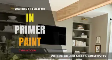 Unlocking the Mystery: What Does B-I-N Stand For in Primer Paint?