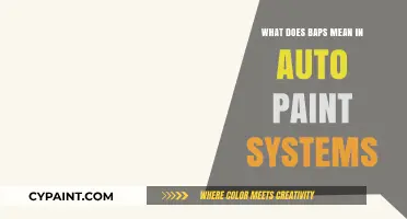 Understanding BAPS: Its Role and Importance in Auto Paint Systems