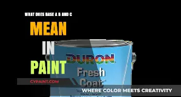Decoding Paint Labels: Understanding Base A, B, and C