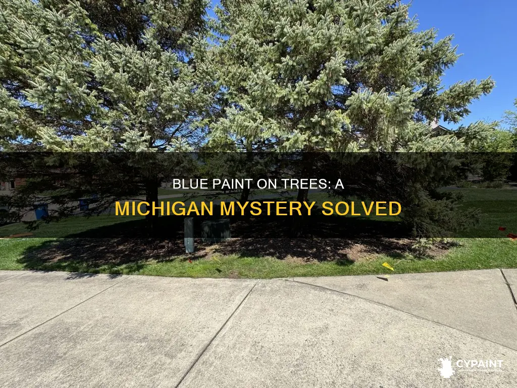 what does blue paint on a tree in michiganmean