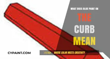 Decoding Curb Colors: Understanding the Meaning of Blue Paint on Streets