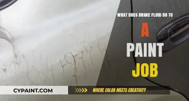 How Brake Fluid Impacts Your Car's Paint Job