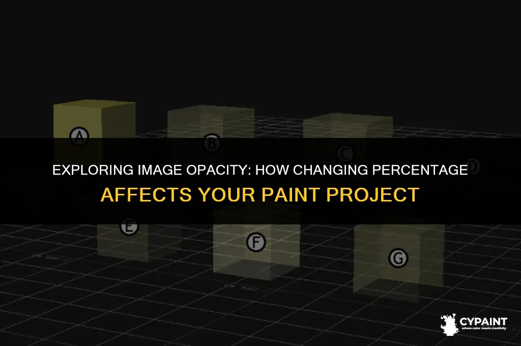 what does changing percentage of an iomage do in paint