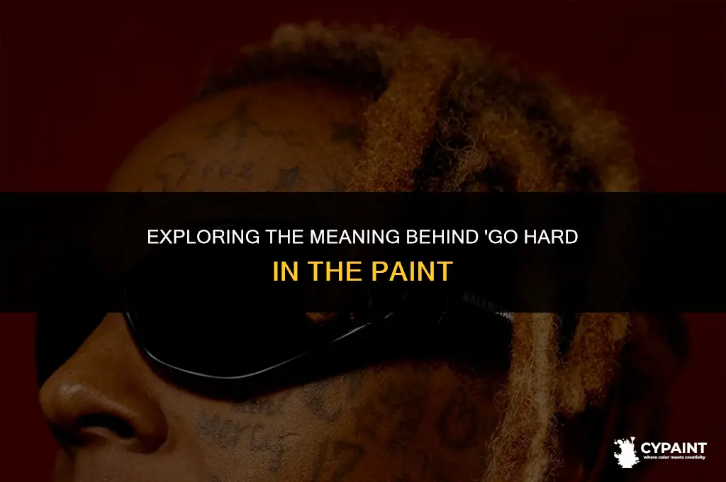 what does do you go hard in the paint mean