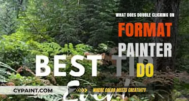 Double-Click Format Painter: Mastering Efficient Multi-Formatting Techniques