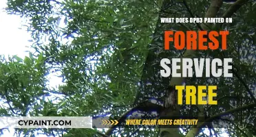 Understanding DPB3 Markings on Forest Service Trees: Purpose and Significance