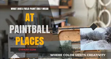 Field Paint Only: Why Paintball Parks Enforce This Rule