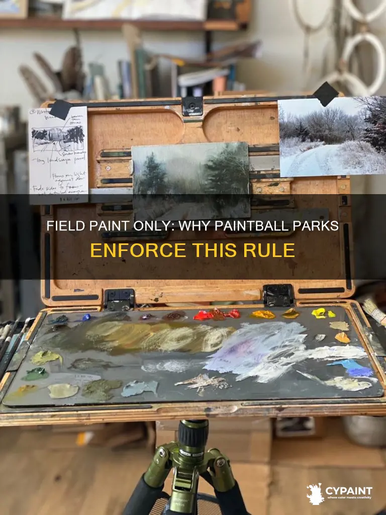 what does field paint only mean at paintball places