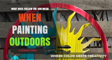 Understanding 'Following the Sun' for Outdoor Painting Success