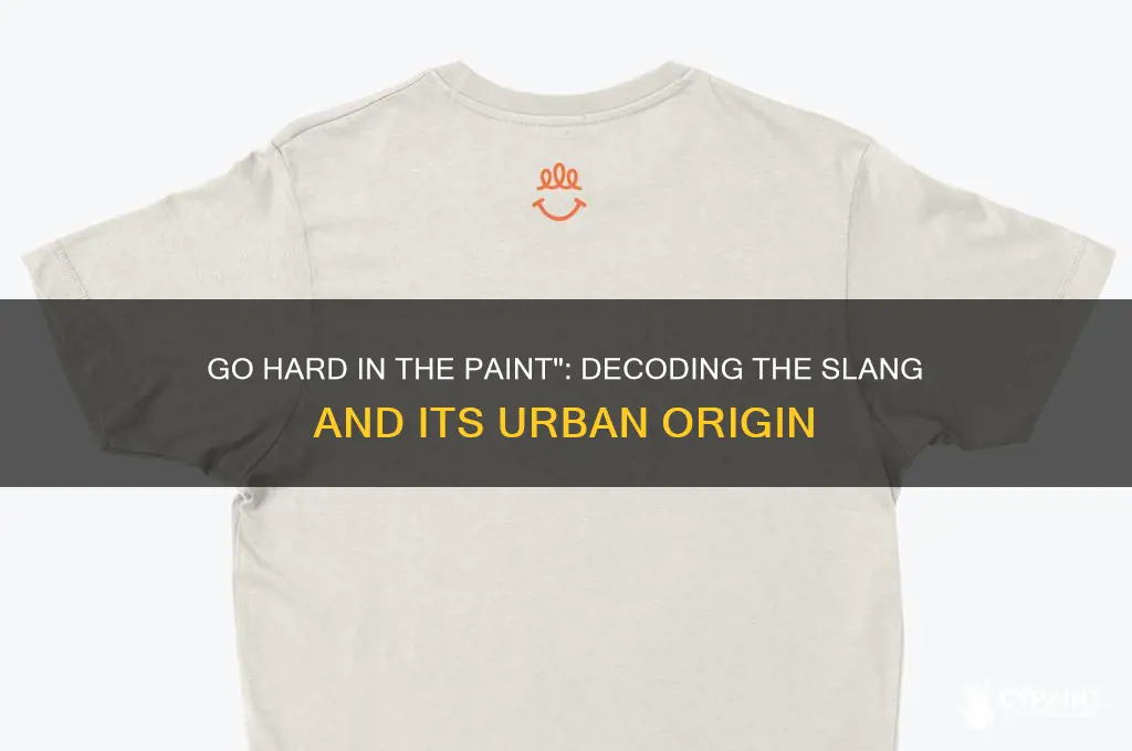 what does go hard in the paint mean
