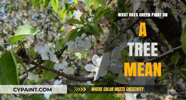 Decoding Green Paint on Trees: Meaning, Purpose, and Environmental Impact