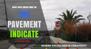 Understanding Green Pavement Markings: Their Meaning and Importance on Roads