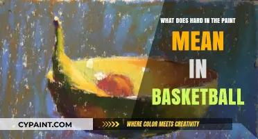 Hard in the Paint: Basketball's Ultimate Guide to Success