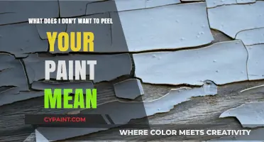 Unraveling the Mystery: What 'I Don't Want to Peel Your Paint' Really Means